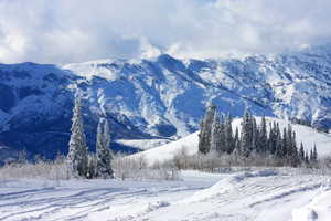 Mountain view