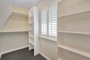 View of walk in closet