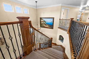 Stairs with baseboards and ornamental molding