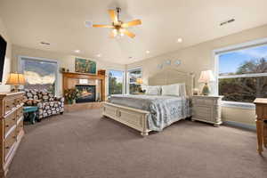 Primary bedroom,, multiple large windows, and carpet