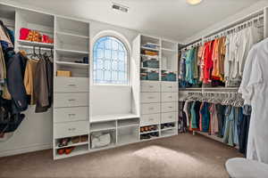 Walk in closet featuring carpet floors and natural light