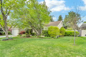 Obstructed view of property featuring a garage, stucco siding, concrete driveway, and a front yard