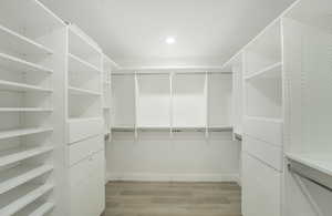Spacious closet featuring light wood-type flooring