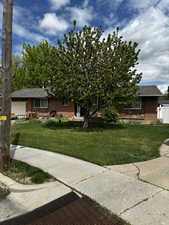 View of front of house featuring brick siding, a front yard, and roof with shingles