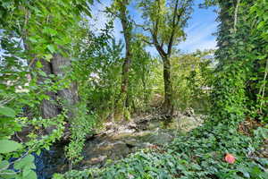 Box Elder Creek runs along the North side of the property.