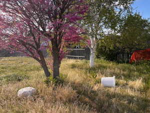 View of yard featuring fence