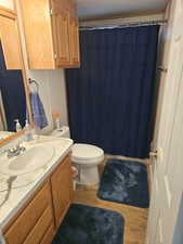 Bathroom featuring vanity, a shower with curtain, toilet, and wood finished floors