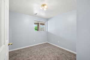 New carpet