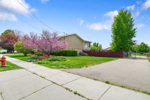 West drive to back of property