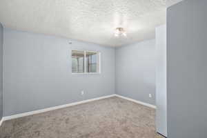 New carpet