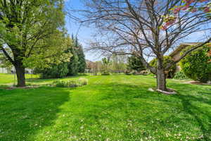 Separate .20 acre lot to the east