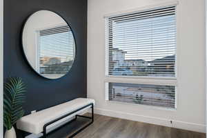 Interior space featuring a healthy amount of sunlight, baseboards, and wood finished floors