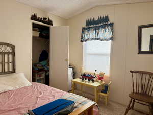 Carpeted bedroom with a closet, a textured ceiling, and lofted ceiling