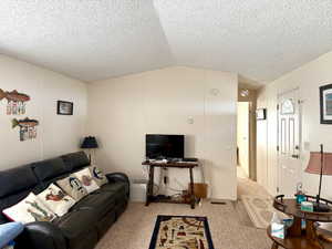 Carpeted living area with vaulted ceiling and a textured ceiling