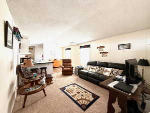 Living room with carpet floors, a textured ceiling, and lofted ceiling