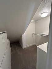 Spacious closet featuring dark colored carpet