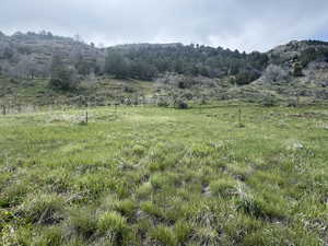 View of undeveloped land featuring rural landscape and a mountain backdrop