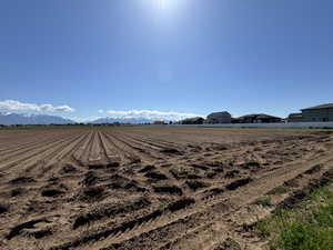 View of yard with a rural view and a mountain view