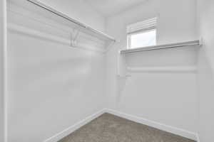 Spacious closet with carpet flooring