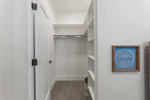Spacious closet featuring carpet floors