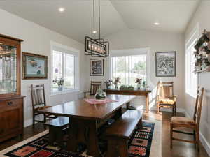 Dining space with baseboards, dark wood-style floors, vaulted ceiling, and a healthy amount of sunlight