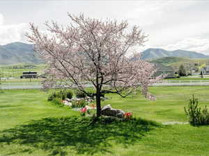 Mountain view with a rural view