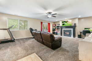 Lower level family room
