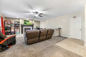 Lower level family room
