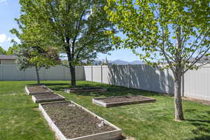 View of yard with a fenced backyard and a vegetable garden