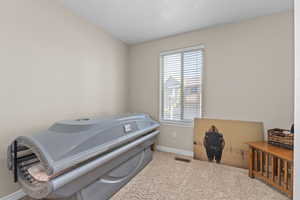Miscellaneous room with baseboards, carpet floors, and visible vents