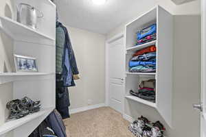 Walk in closet featuring carpet floors