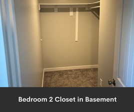 Walk in closet featuring carpet