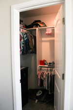 Walk in closet featuring carpet floors