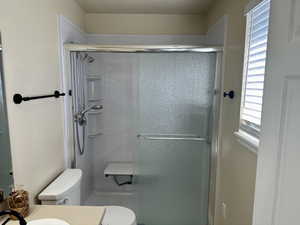Bathroom with toilet, a stall shower, and vanity