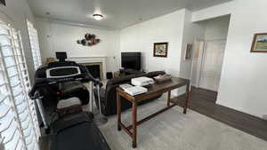 Living Room. Natural Lighting. High Ceilings. Plantation Shutters. Fireplace.