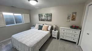 #4 Downstairs Bedroom Suite. Natural Lighting. Egress Windows. Plantation Shutters. Walk-In Closets.