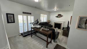 Living Room. High Ceilings. Plantation Shutters. Patio Door. Natural Lighting Fireplace.