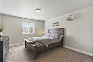 Bedroom featuring light colored carpet, a textured ceiling, and baseboards