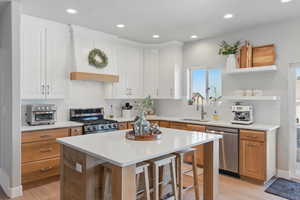 Kitchen featuring backsplash, a sink, light wood finished floors, stainless steel appliances, and recessed lighting