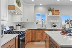 Kitchen with custom exhaust hood, light wood-type flooring, a sink, a wealth of natural light, and stainless steel appliances