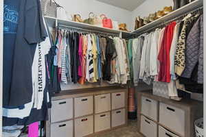 Spacious closet featuring carpet