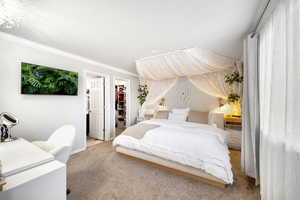 Bedroom with a walk in closet, crown molding, baseboards, a closet, and carpet