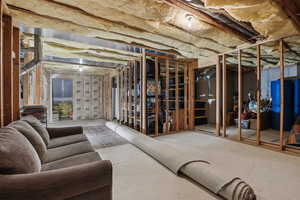 View of unfinished basement
