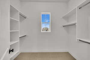 Spacious closet with light carpet