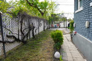 The side yard displays very productive grapevines (seasonal).