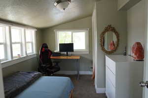 Bedroom with a textured ceiling, carpet, vaulted ceiling, and multiple windows