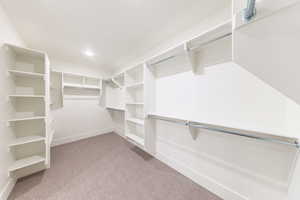 Primary Walk in closet with carpet