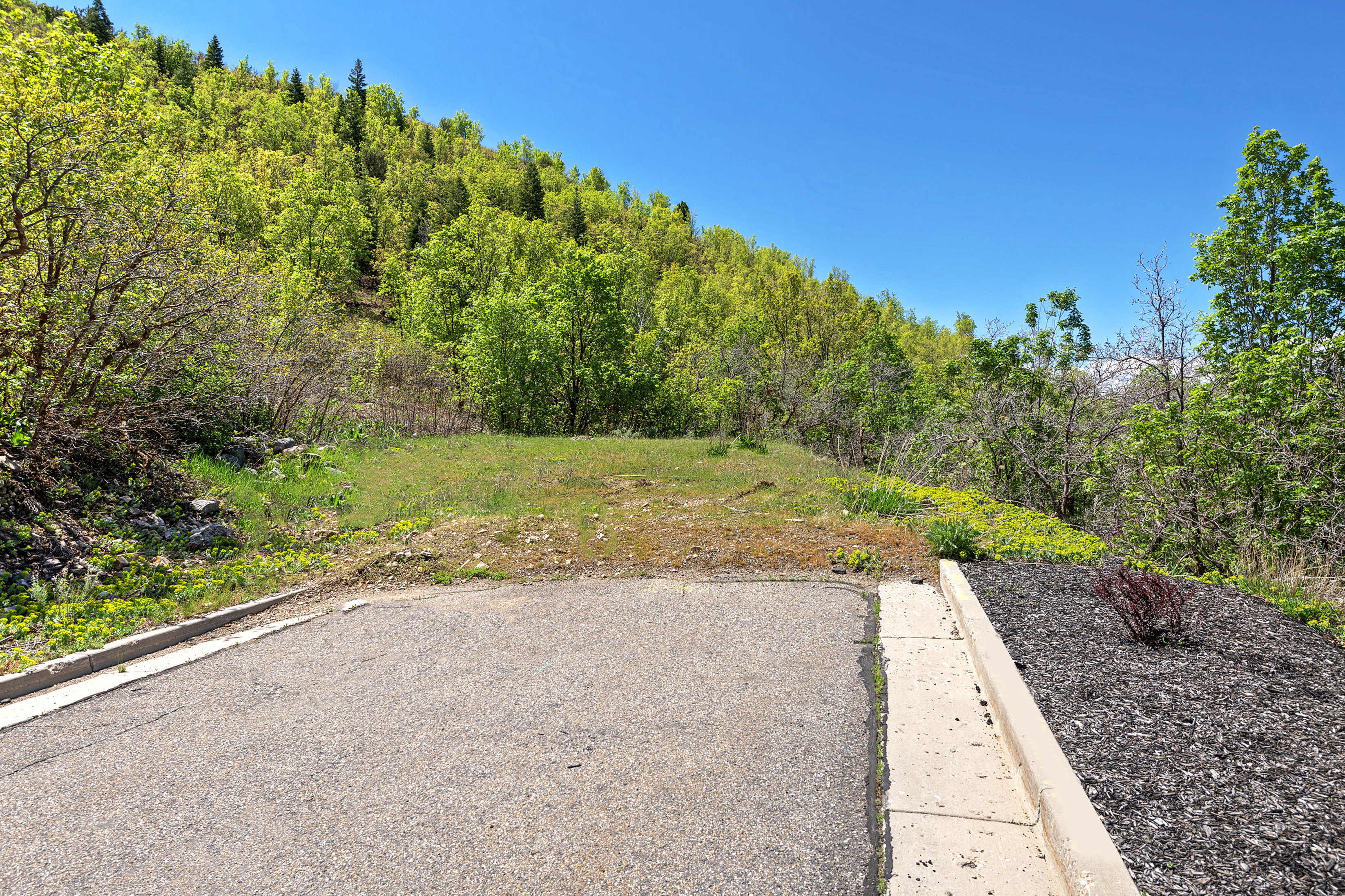 View of yard with a forest view