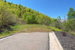 View of yard with a forest view