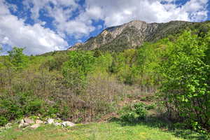 View of mountain backdrop with a forest